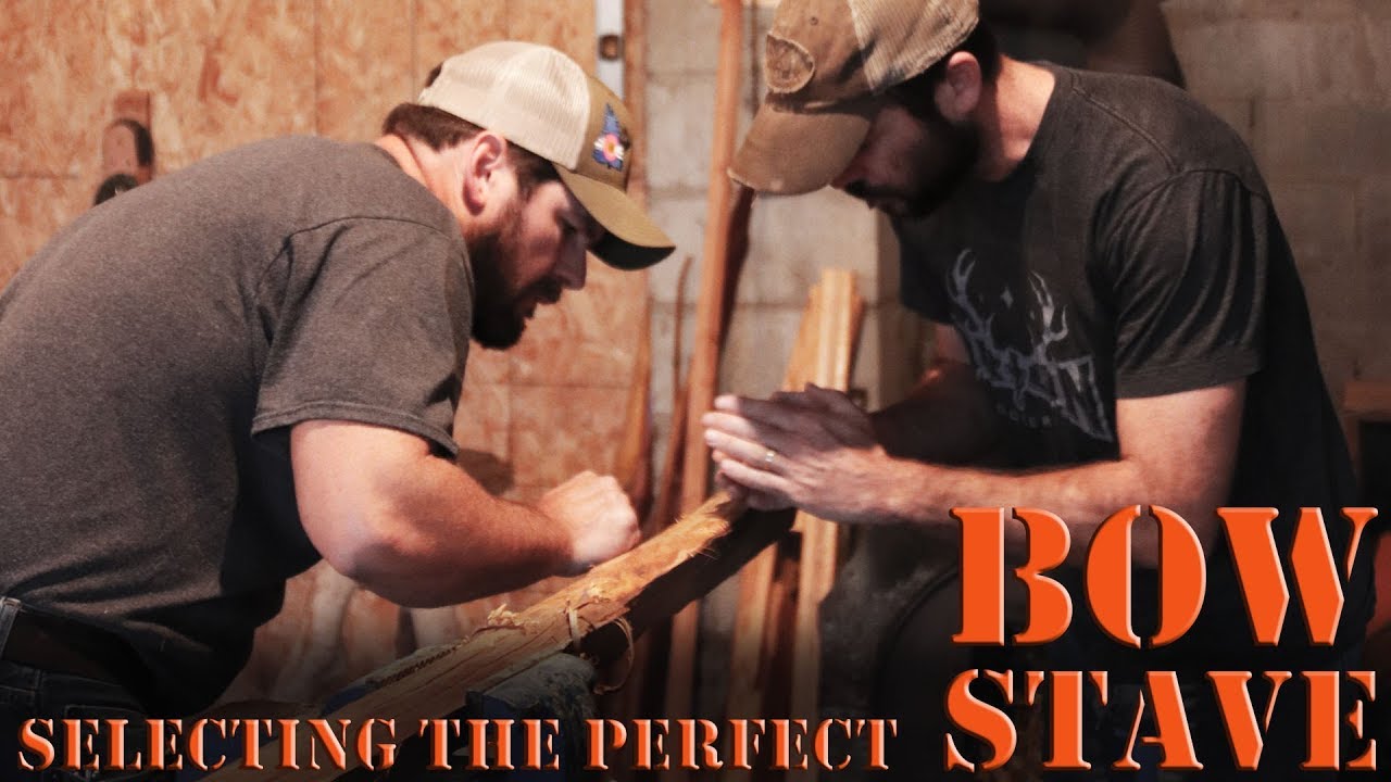 Primitive Bow Building for Beginners - selecting a selfbow stave