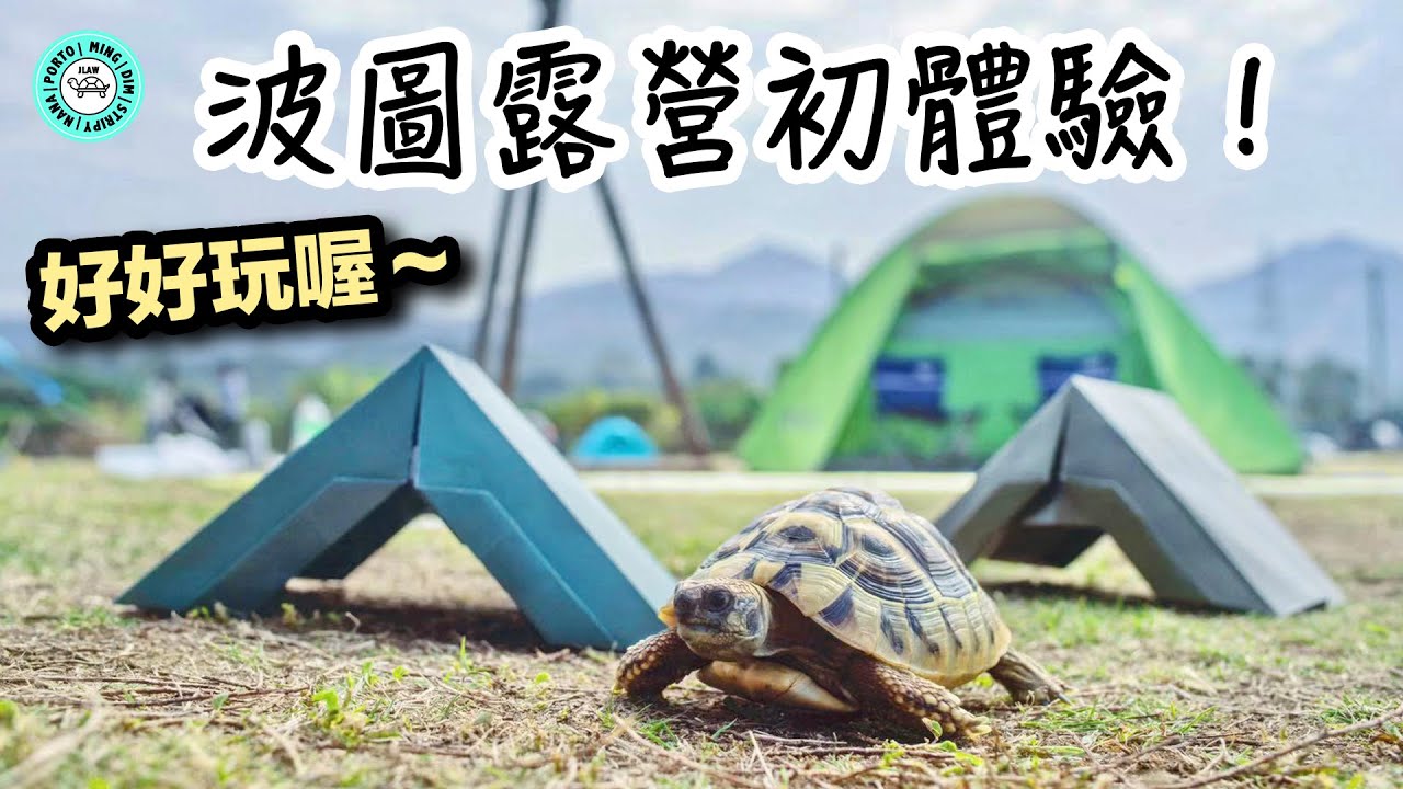 【露營好去處】白泥生態保育農莊｜First Camping🏕️｜【小龜成長日記】