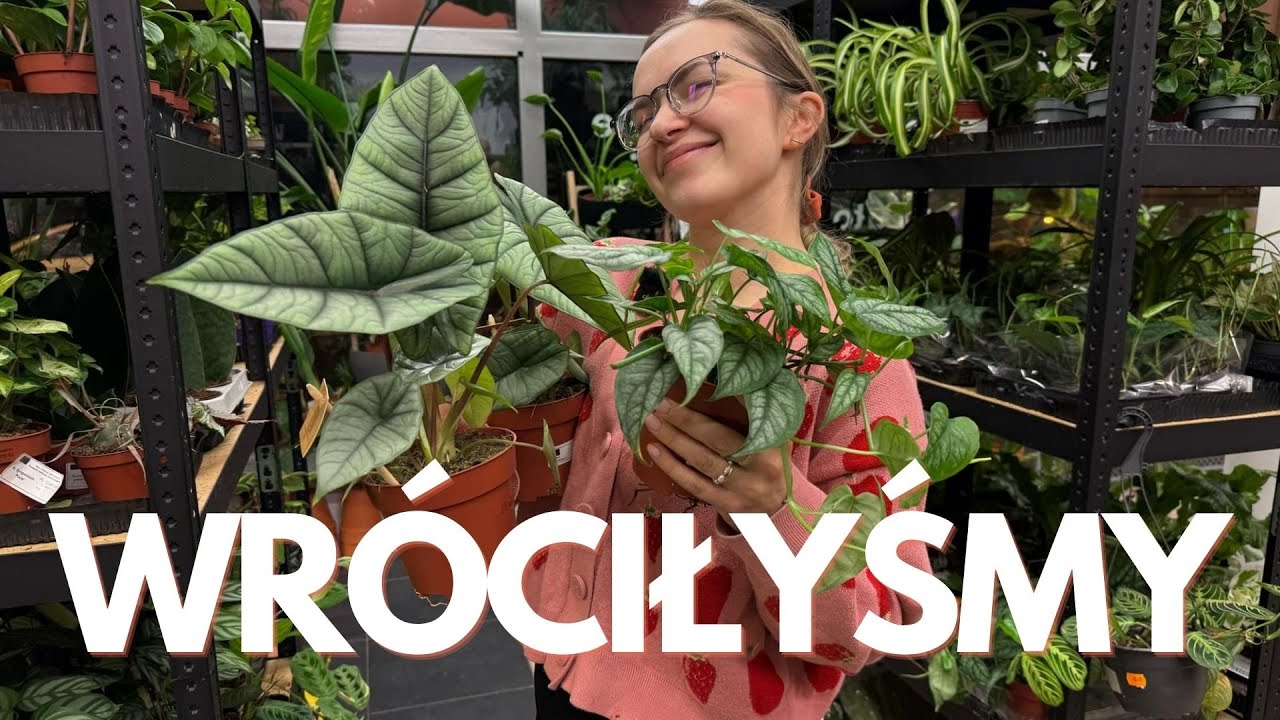 WIELKI POWRÓT BADYLI -  pędzimy w nowym roku z dostawą roślin 🥹🥹✨✨
