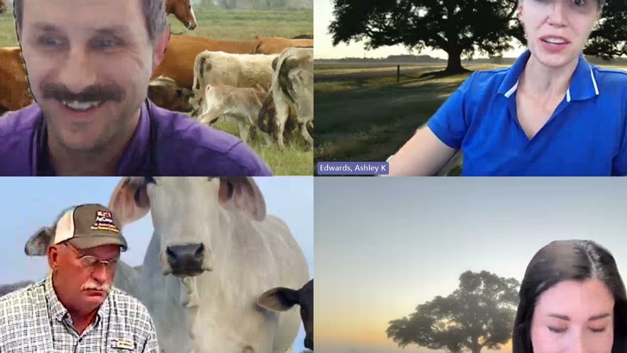 Beef Brunch News Update – October 14, 2025