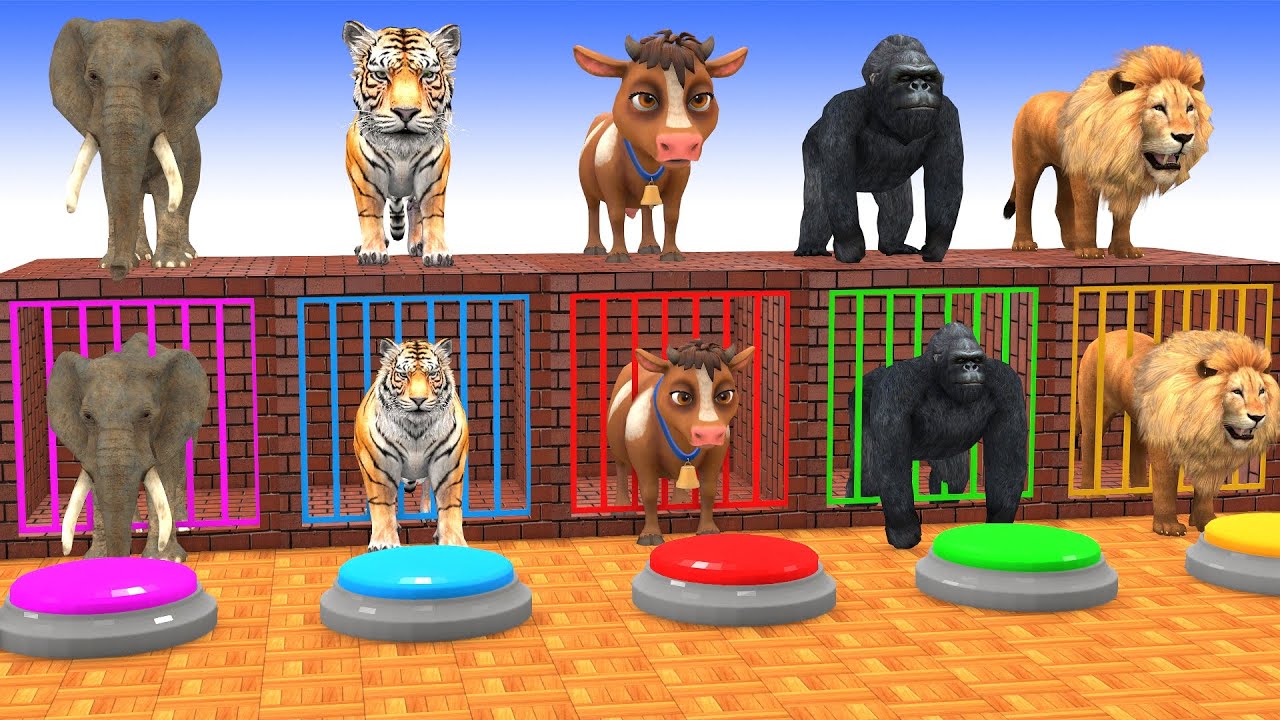 Long Slide Game With Cow Elephant Gorilla Hippopotamus Tiger 3d Animal Game Funny 3d Animals