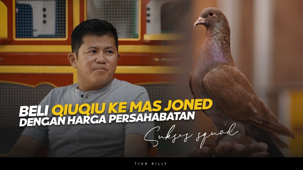 PERJALANAN MERPATI QIUQIU DI TEAM SUKSES SQUAD SAMPAI SLOGAN SING PENTING YAKIN