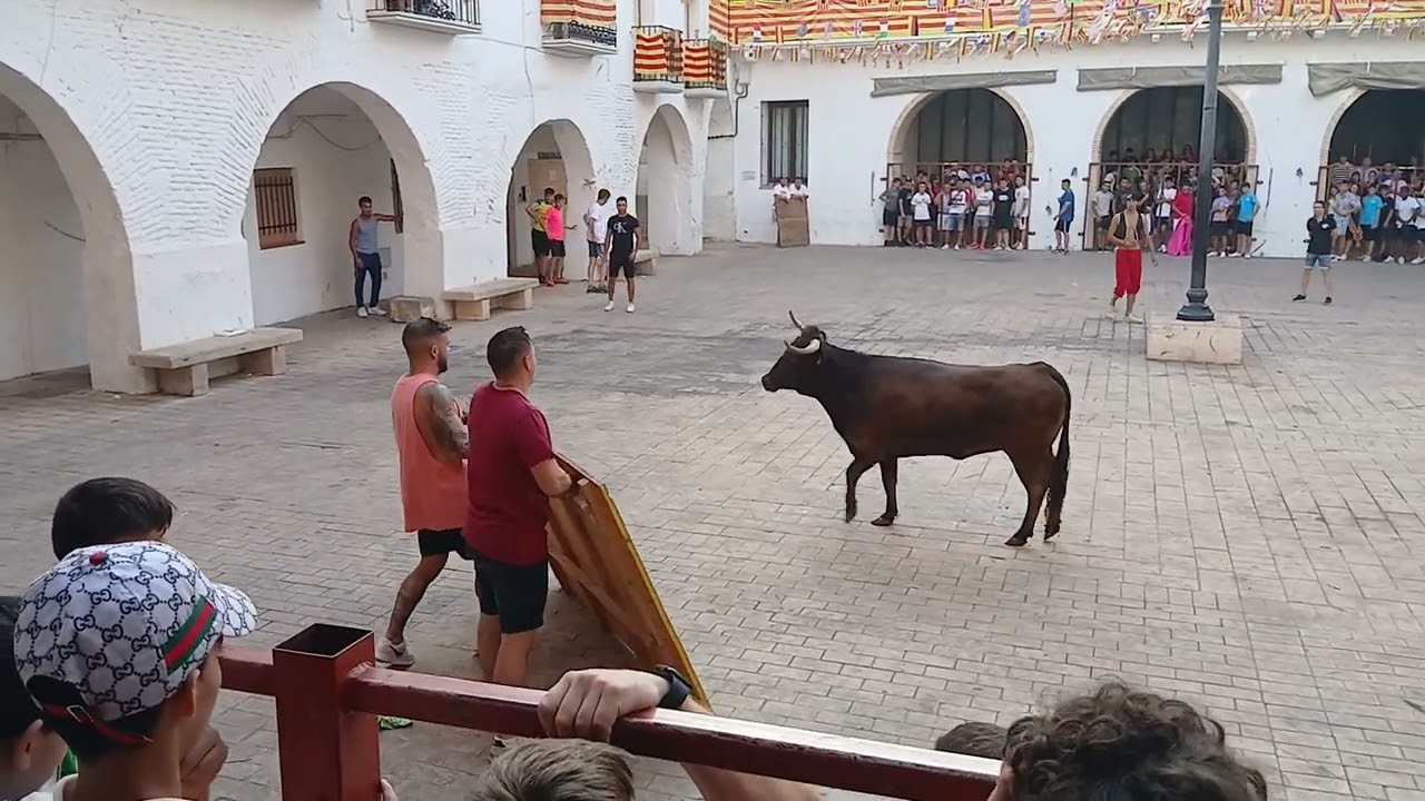 23 de agosto de 2024