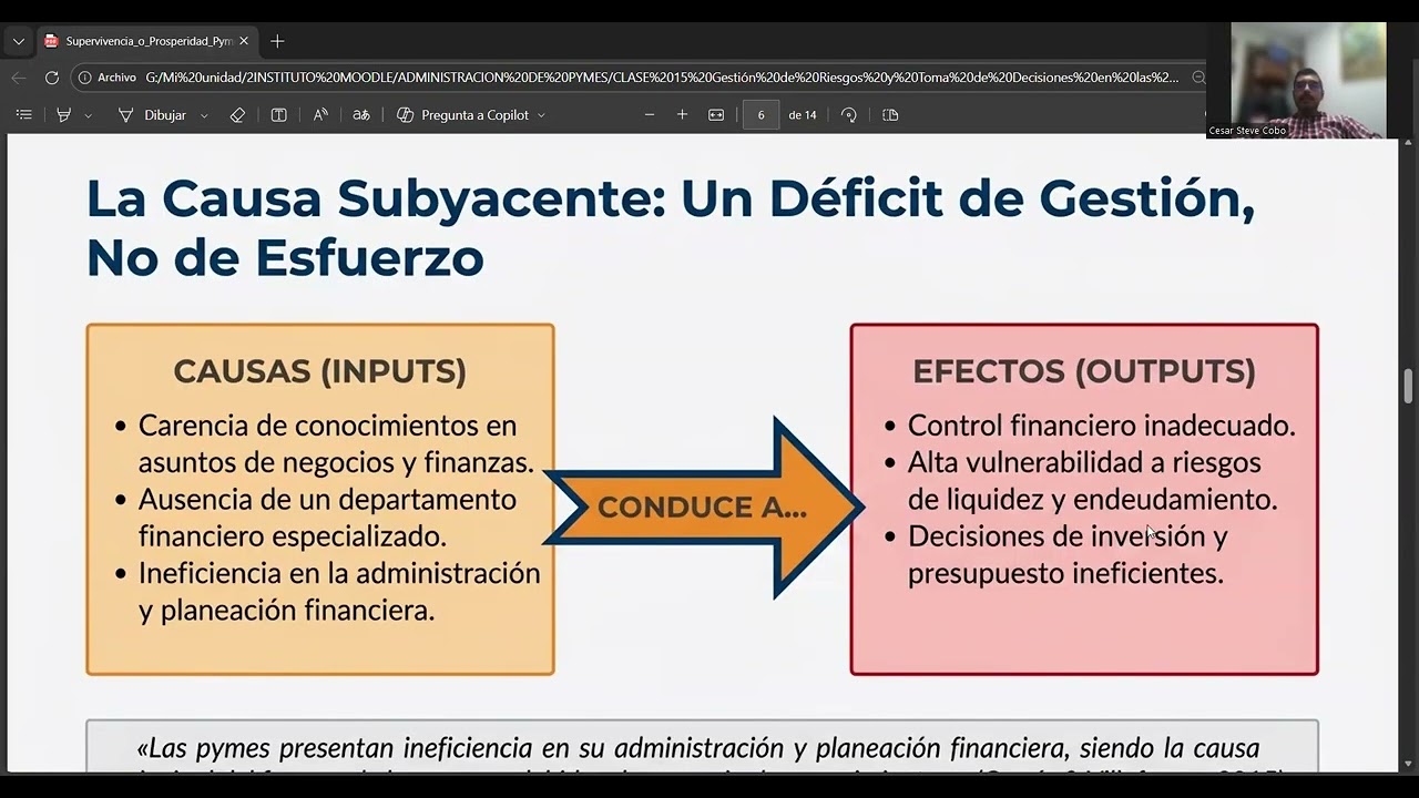 Gestión de Riesgos y Toma de Decisiones en las PYMES 1