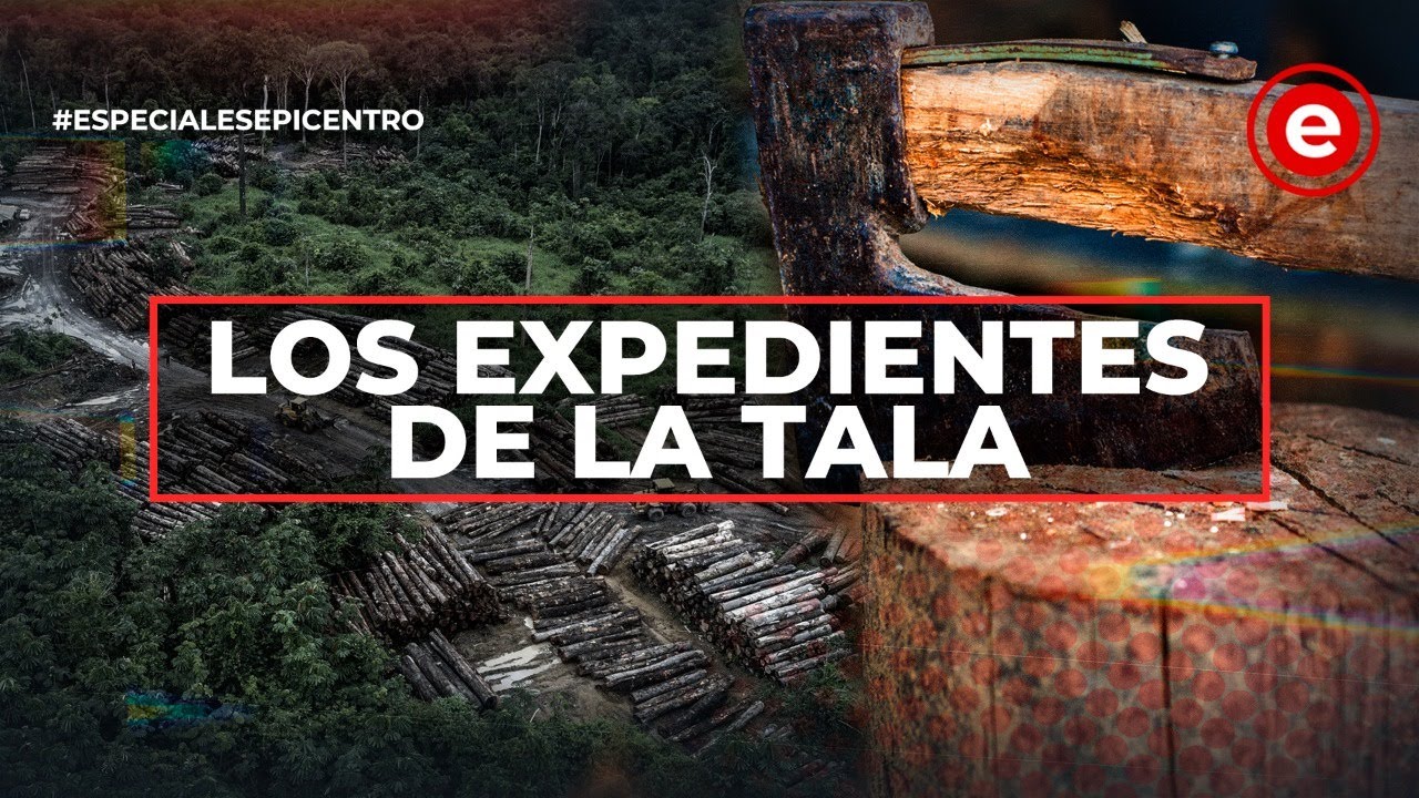 #Documental | Los Expedientes de la Tala