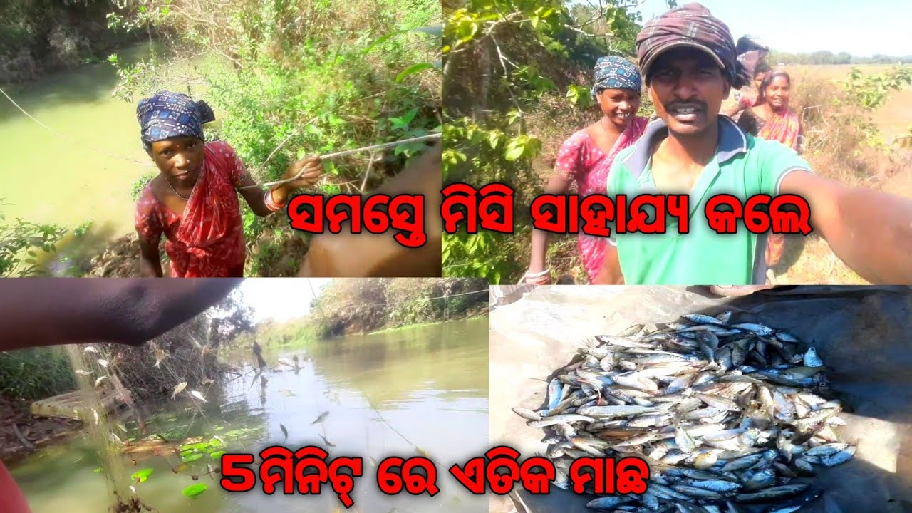 ସମସ୍ତେ ମିସି ସାହାଯ୍ୟ କଲେ 🙏5 ମିନିଟ୍ ରେ ଏତିକ ମାଛ @GoraLifestylevlog683 