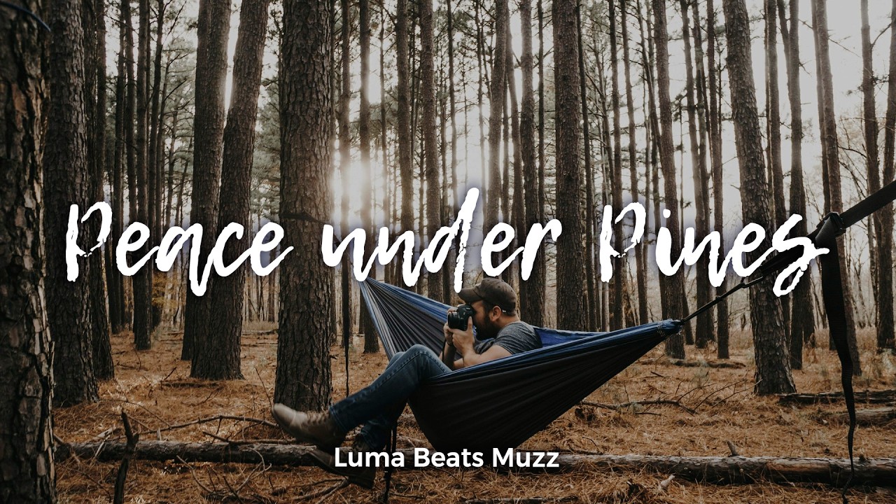 Peace Under Pines | Soft Indie Folk