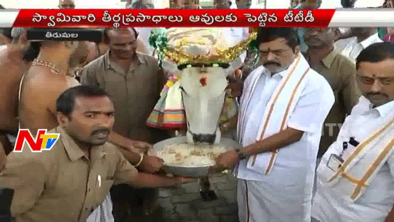 'Go pooja' performed under TTD in Telugu States