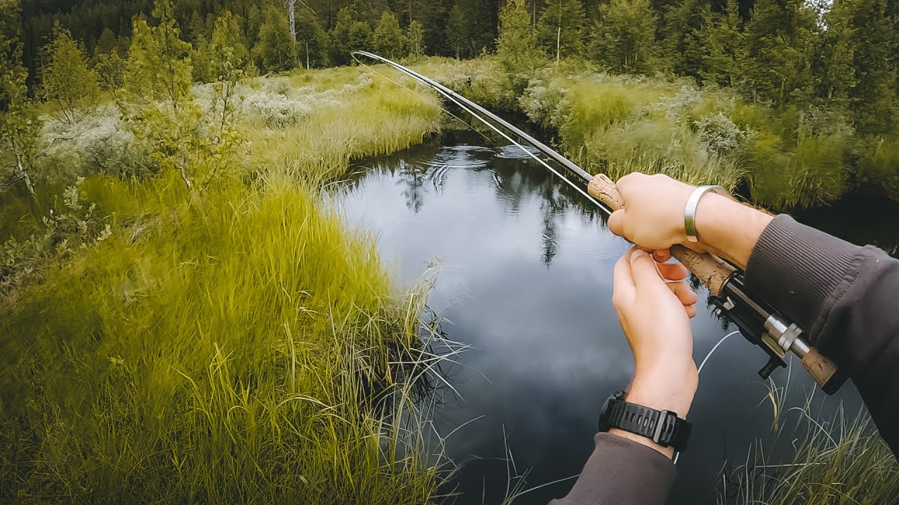 Flugfiske efter öring i liten bäck!!