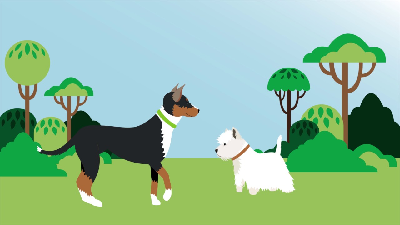 Animation The Five Freedoms