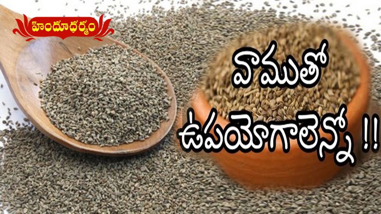 Benefits And Medicinal Uses Of Ajwain (vamu) | Veda Vaidhyam | Hindu Dharmam
