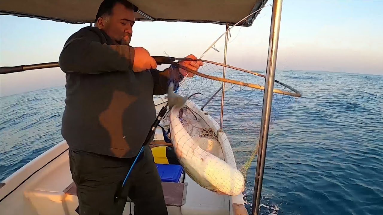 Rekor Balon Balığı 6 Kg