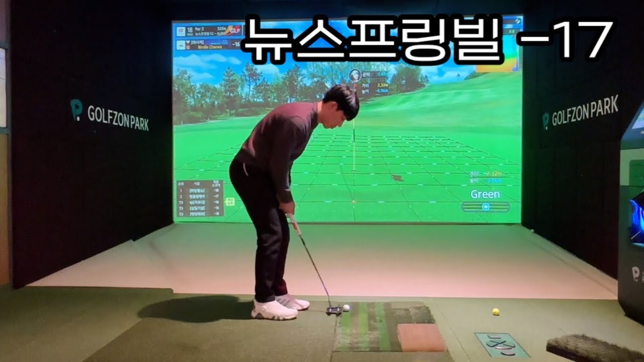 뉴스프링빌 CC -17
