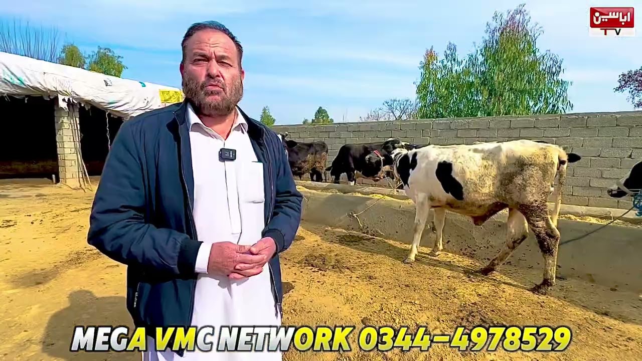 Ka Khpal Sarvi Ha Kawal Ghwary Da Wanda Istemal Ki | Pashto Video 