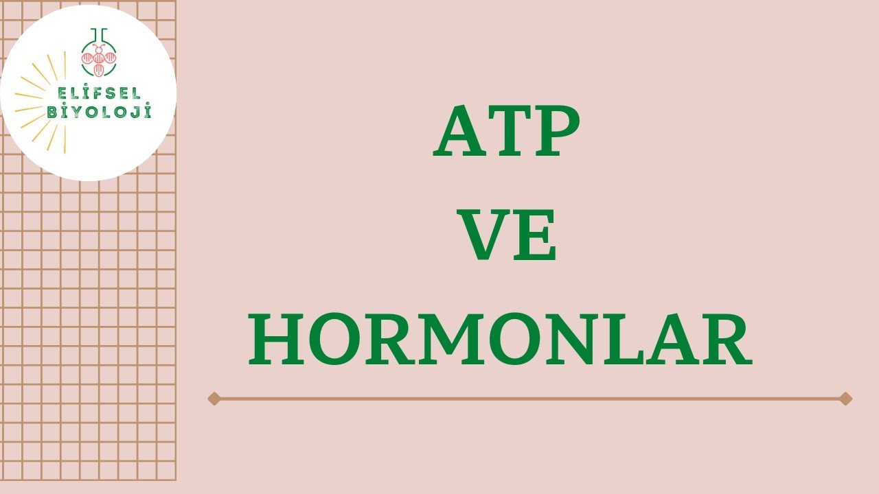 ATP VE HORMONLAR #atp #hormonlar