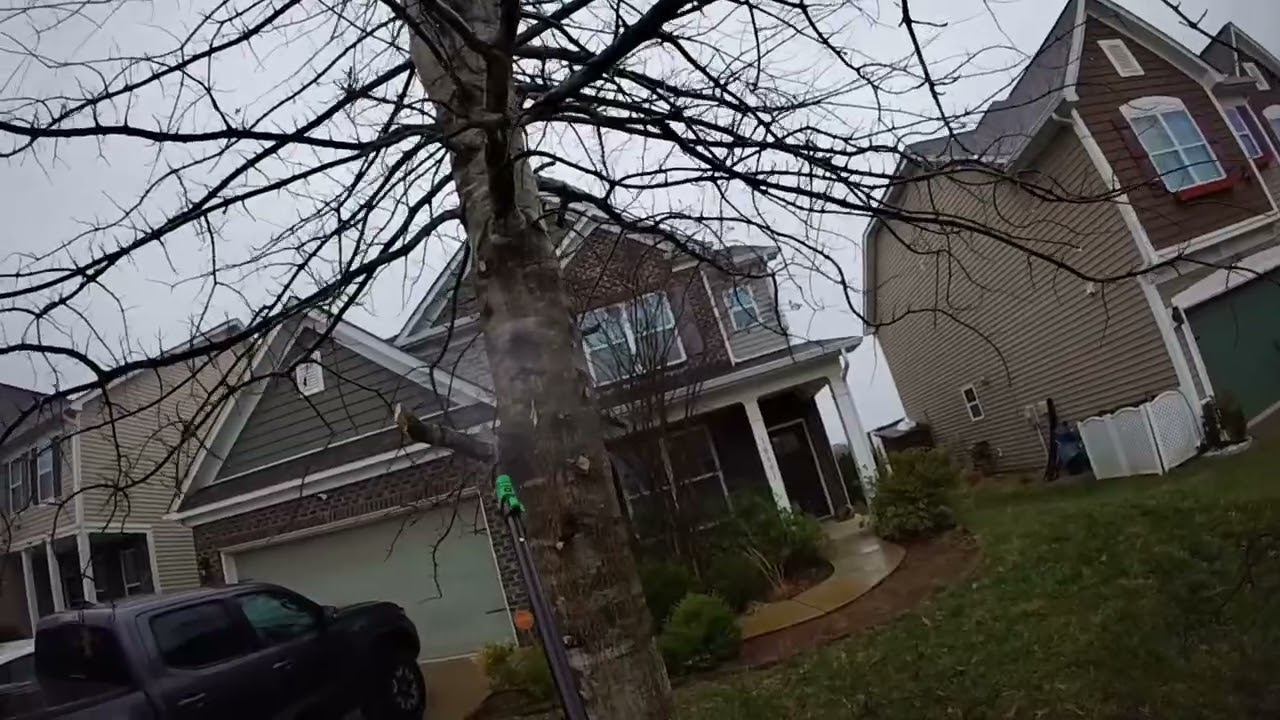 Rainy day. Pole saw work
