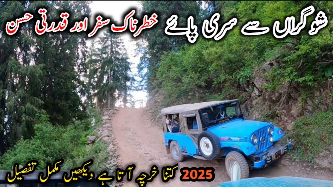 Shogran to Siri Paye Jeep Safari | Road Condition, Rent & Meadows Beauty 2025 | Paya meadows