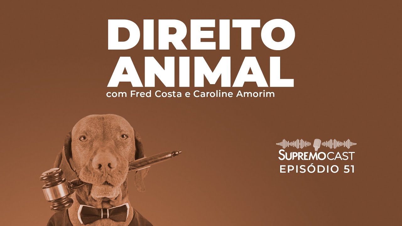 DIREITO ANIMAL - Supremo Cast #51