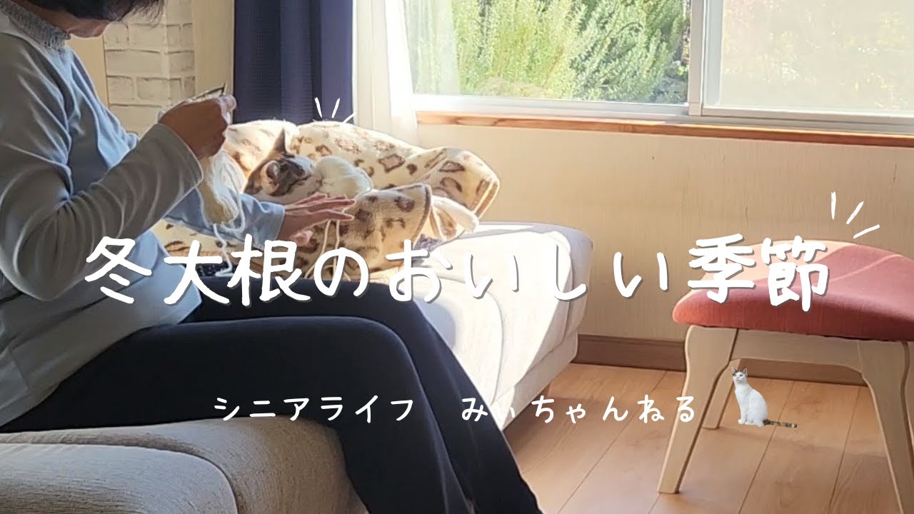 【Vlog】60代 冬大根のおいしい季節/ハンドウォーマー意外な効果/