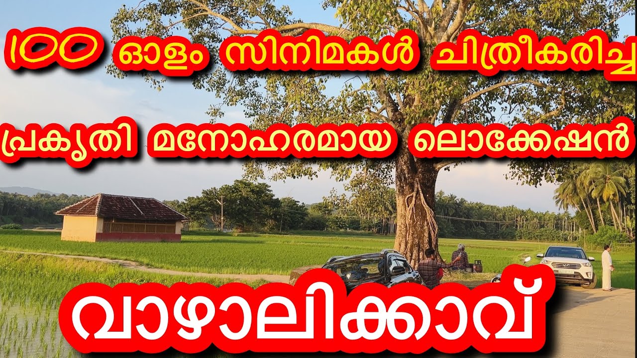 Vazhalikkavu # വാഴാലിക്കാവ് ഒട്ടനവധി സിനിമകൾ ചിത്രീകരിച്ച പ്രകൃതി മനോഹരമായ ലൊക്കേഷൻ കൂടിയാണ് #