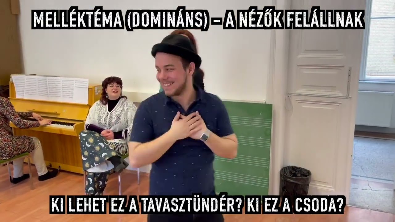 Szonátaforma a színpadon