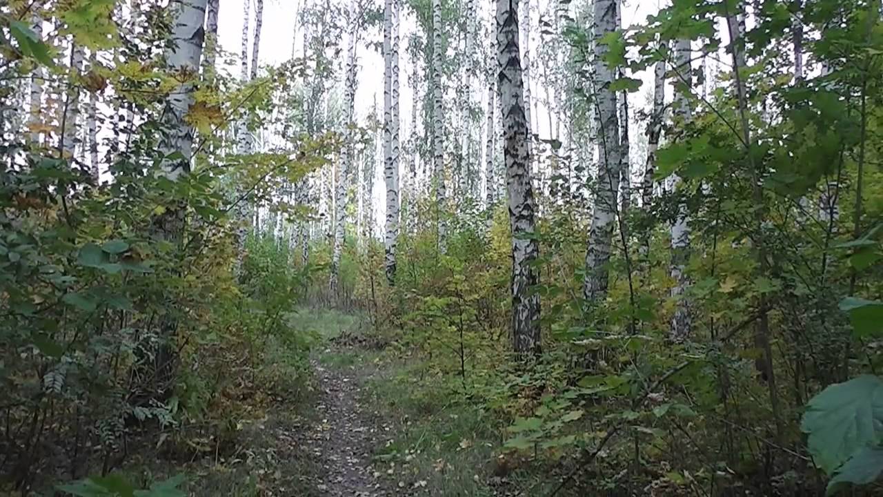 Сергей Дроздов. К 60 - летию со дня рождения. Попурри, часть 2