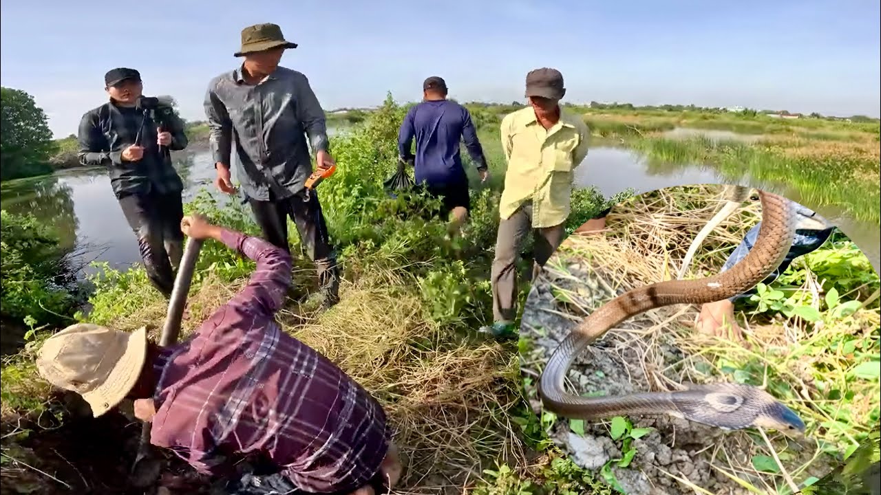 Trải Nghiệm Theo Nhóm Giang Ka Săn Bắt Rắn Độc|| TCNTV #598