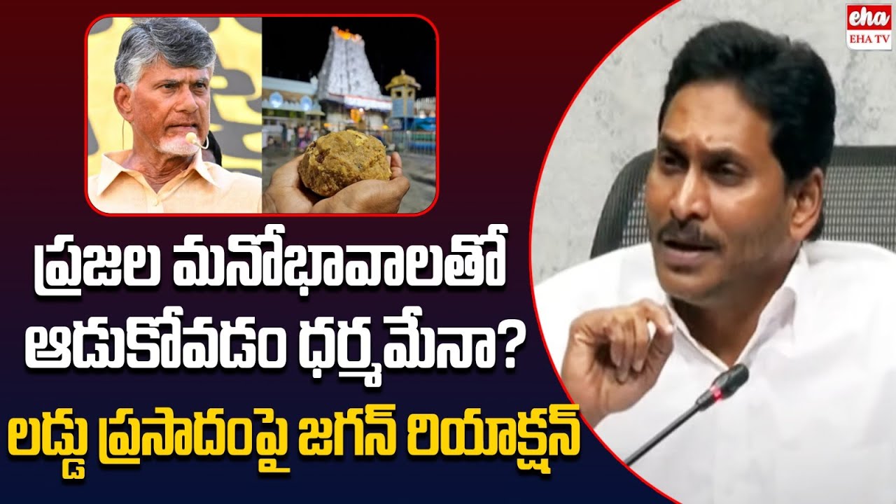 YS Jagan Serious On Chandrababu Over Tirumala Laddu Issue |Nara Lokesh|EHA TV