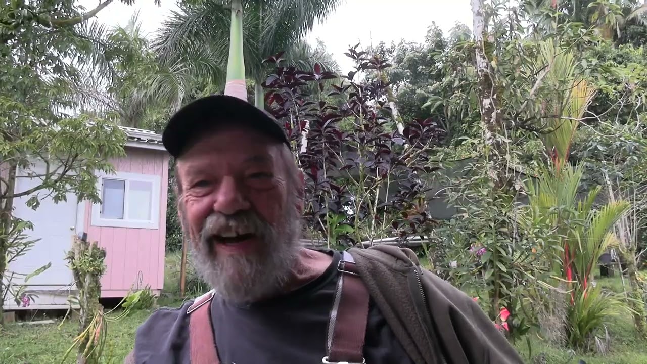 Загадка НЛО-НЗП