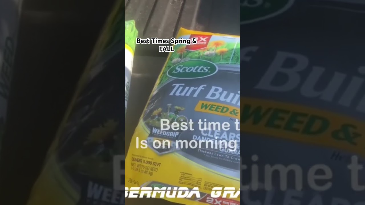Best Time to Apply WEED & FEED