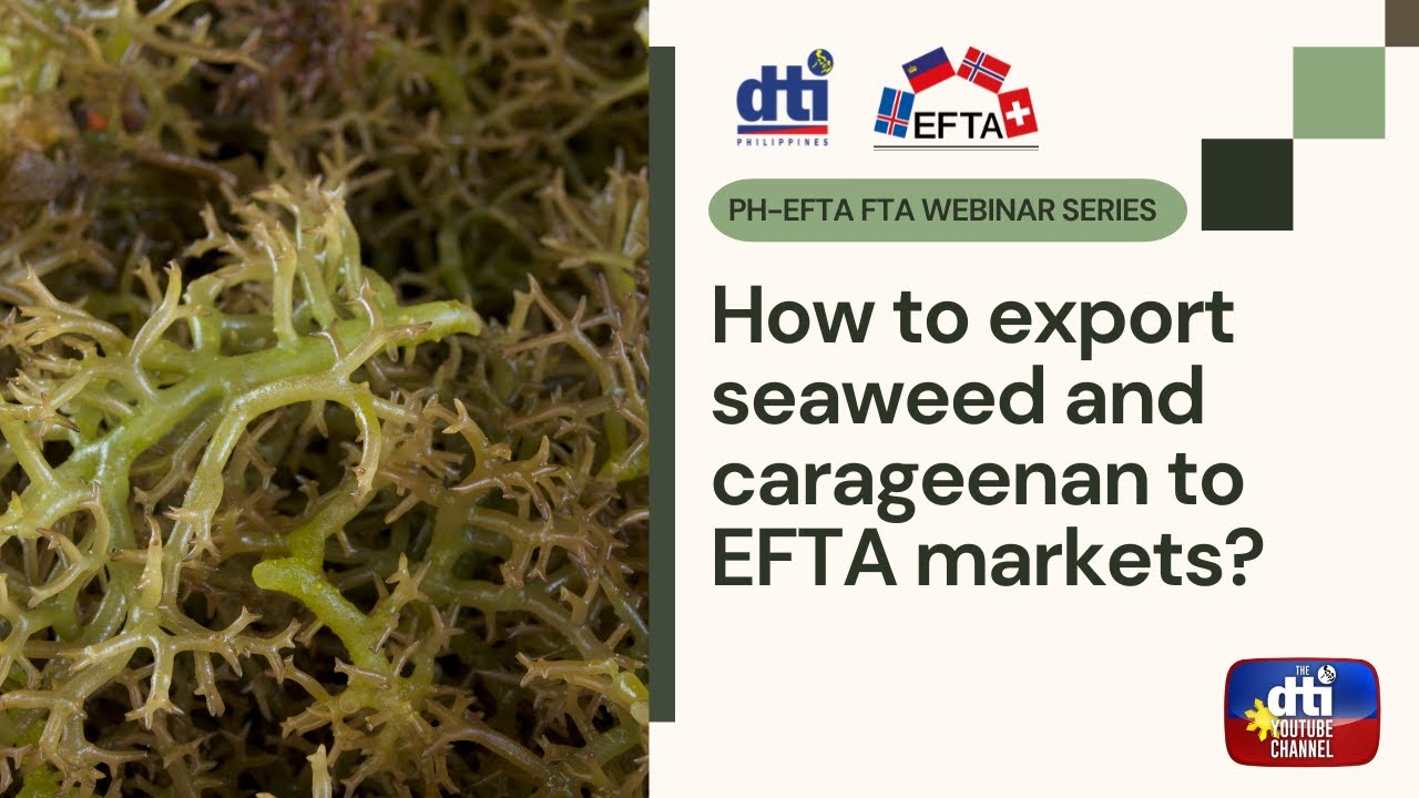 Episode 9: How to Export Seaweed and Carrageenan to EFTA Markets