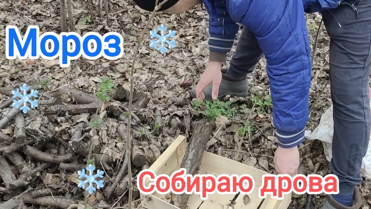 Пришли морозы. Собираю дрова буду топить печь.
