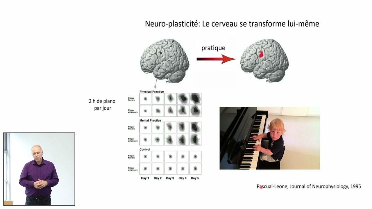 Cerveau et Silence : pourquoi nous avons besoin de la beauté du monde par Michel Le Van Quyen