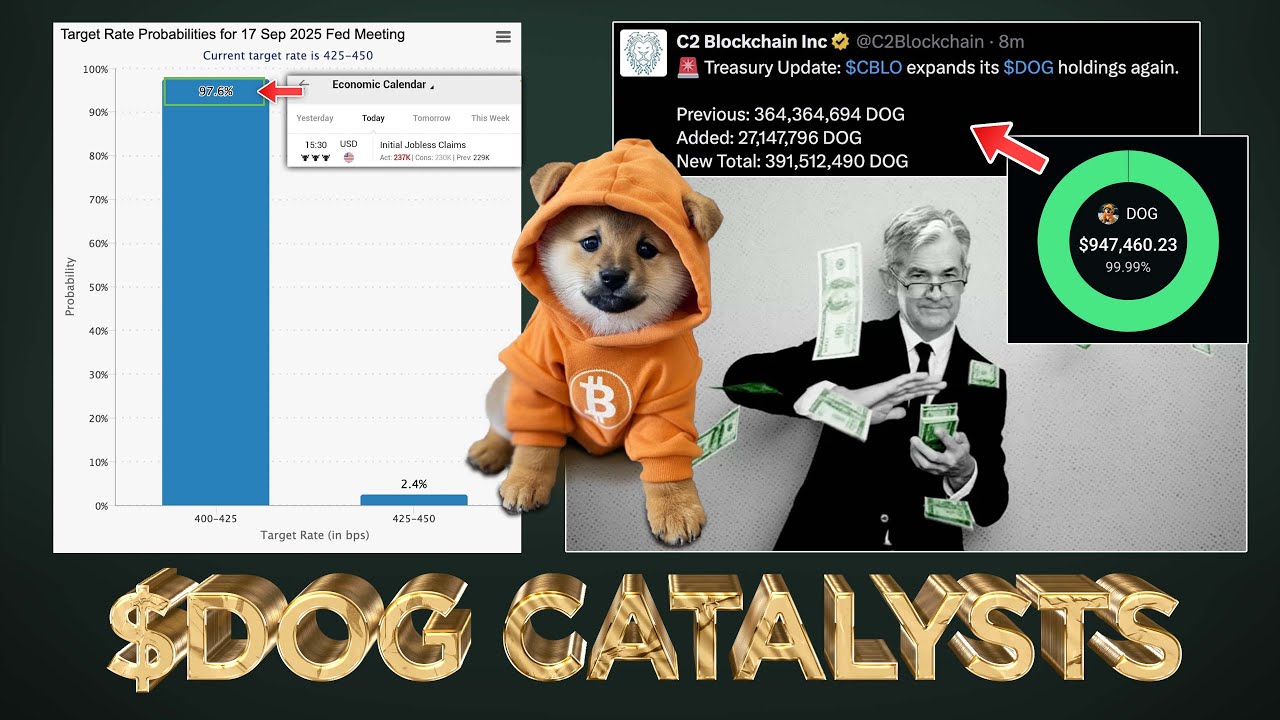 $DOG Major Catalysts Coming 🧨 Amid Vast Market Manipulation