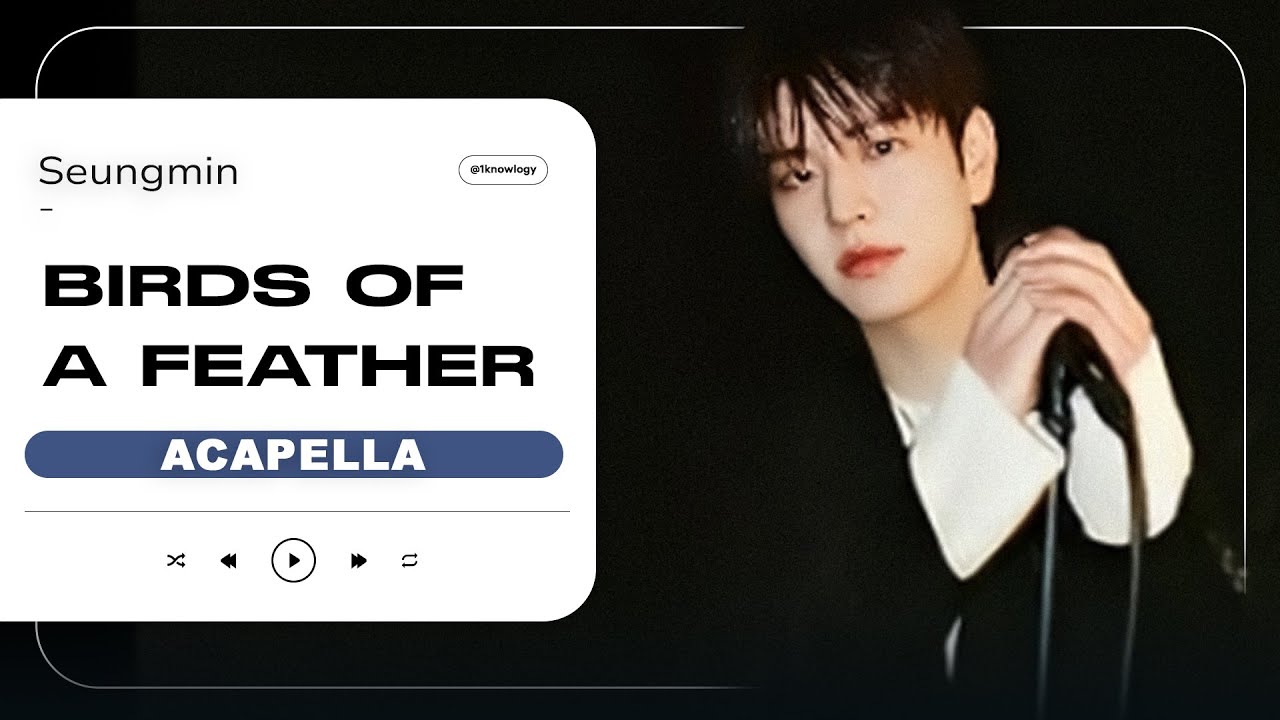 Seungmin - " BIRDS OF A FEATHER " @Song by | Clean Acapella / Vocals Only