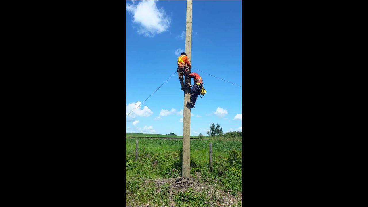 Bad powerlineman