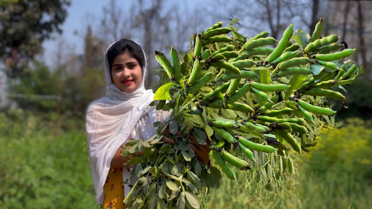 She Picked Bakla Beans from Garden and Cooking Authentic Village Sabji with Chapati Tawa Bread Il