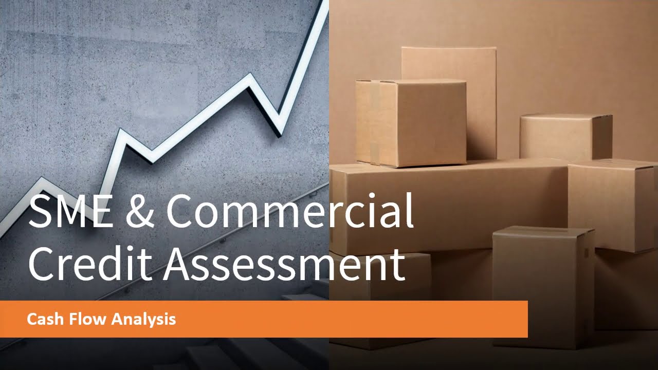 Cash Flow Analysis: SME & Commercial Credit Assessment