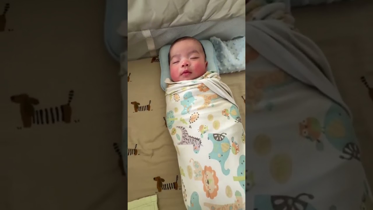 水蓉家今天没电，但小米还是一样睡得很甜