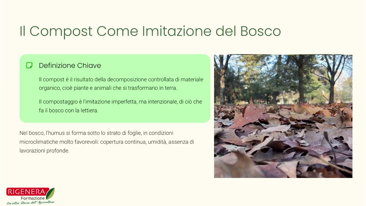 Filosofia del compost: ciclo Terra-pianta e imitazione del bosco