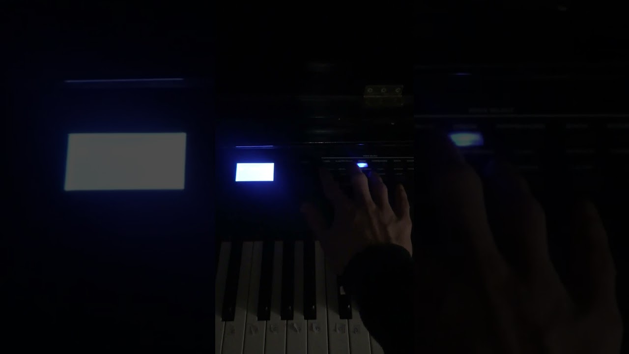 🎹 Mon chat donne son verdict sur le piano Alesis Recital Pro ! 🐱🎶 Découvrez sa réaction