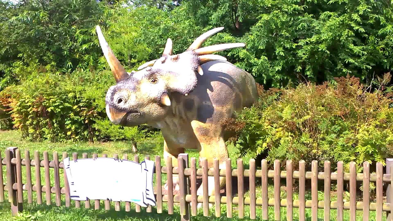 Parkbahn Tolk Schau 2 augustus 2014 Onride
