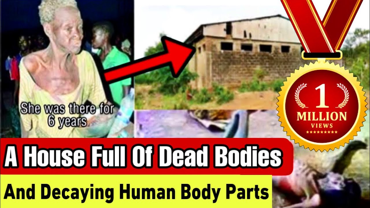 THE IBADAN FOREST OF HORROR DOCUMENTARY - A Money Ritual Industry That Ran Underground For 10 Years.