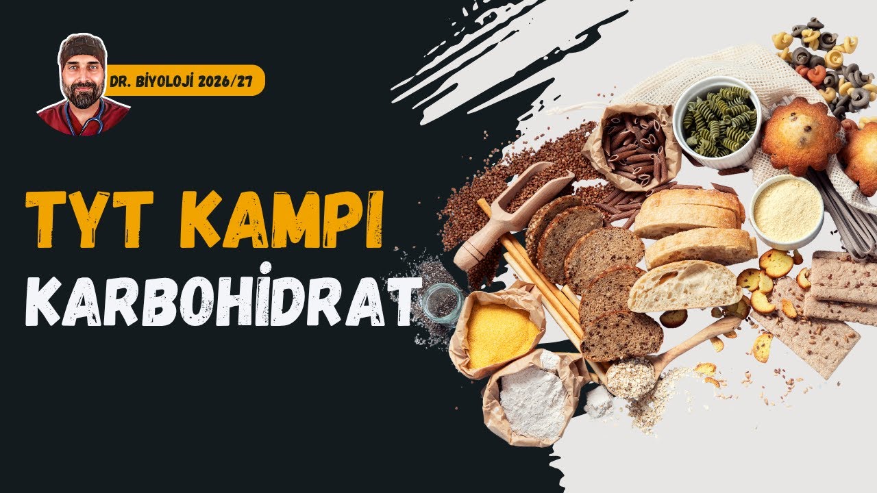 Karbohidratlar | Dr. Biyoloji | Dönem 2026 - 2027