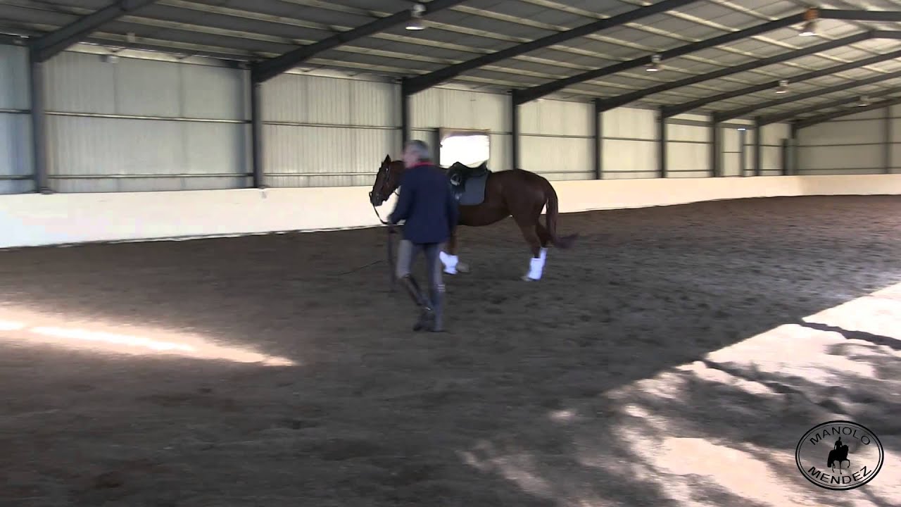 Manolo Mendez Dressage Training for Wellness: Working with the explosive young horse.