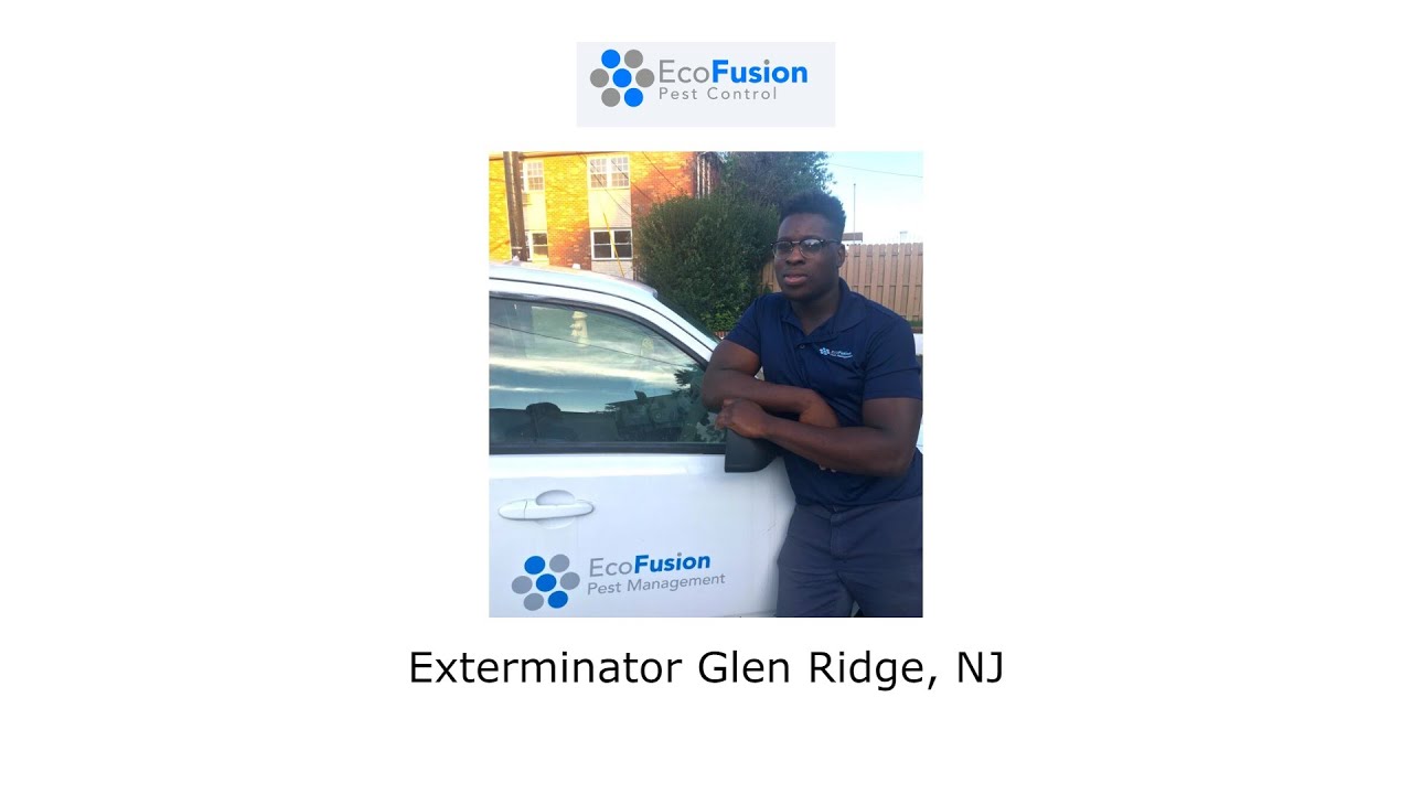 Exterminator Glen Ridge, NJ - EcoFusion Pest Control