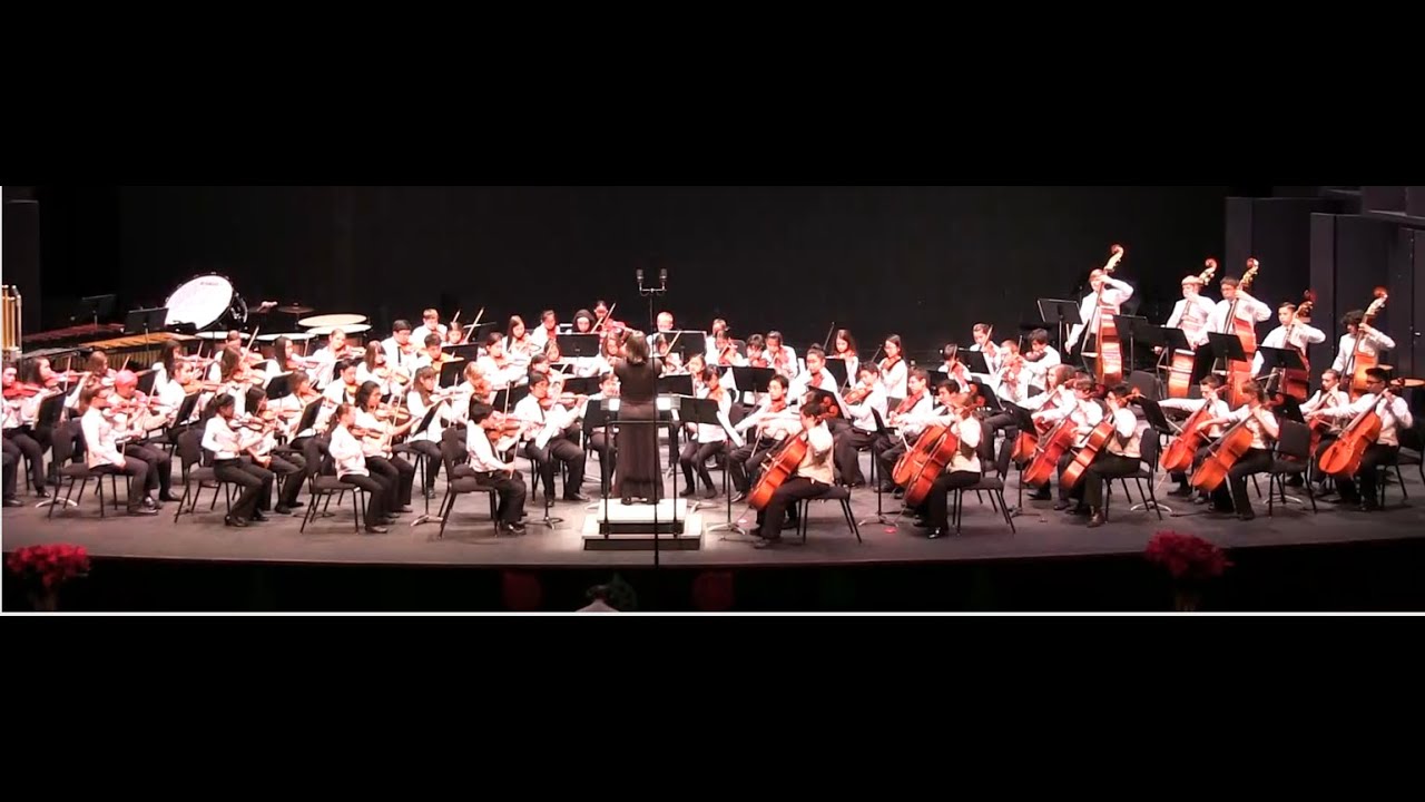 LVYO Ensemble 2014                   