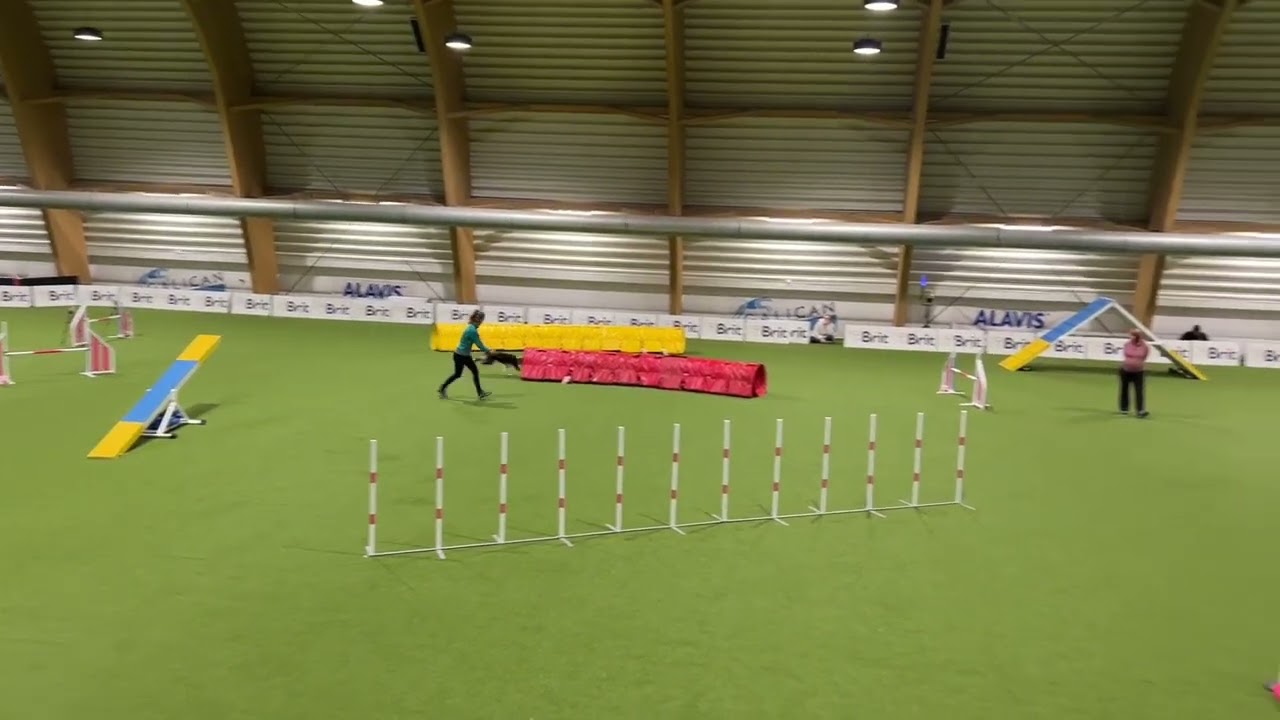 Qualification to WAO 2025