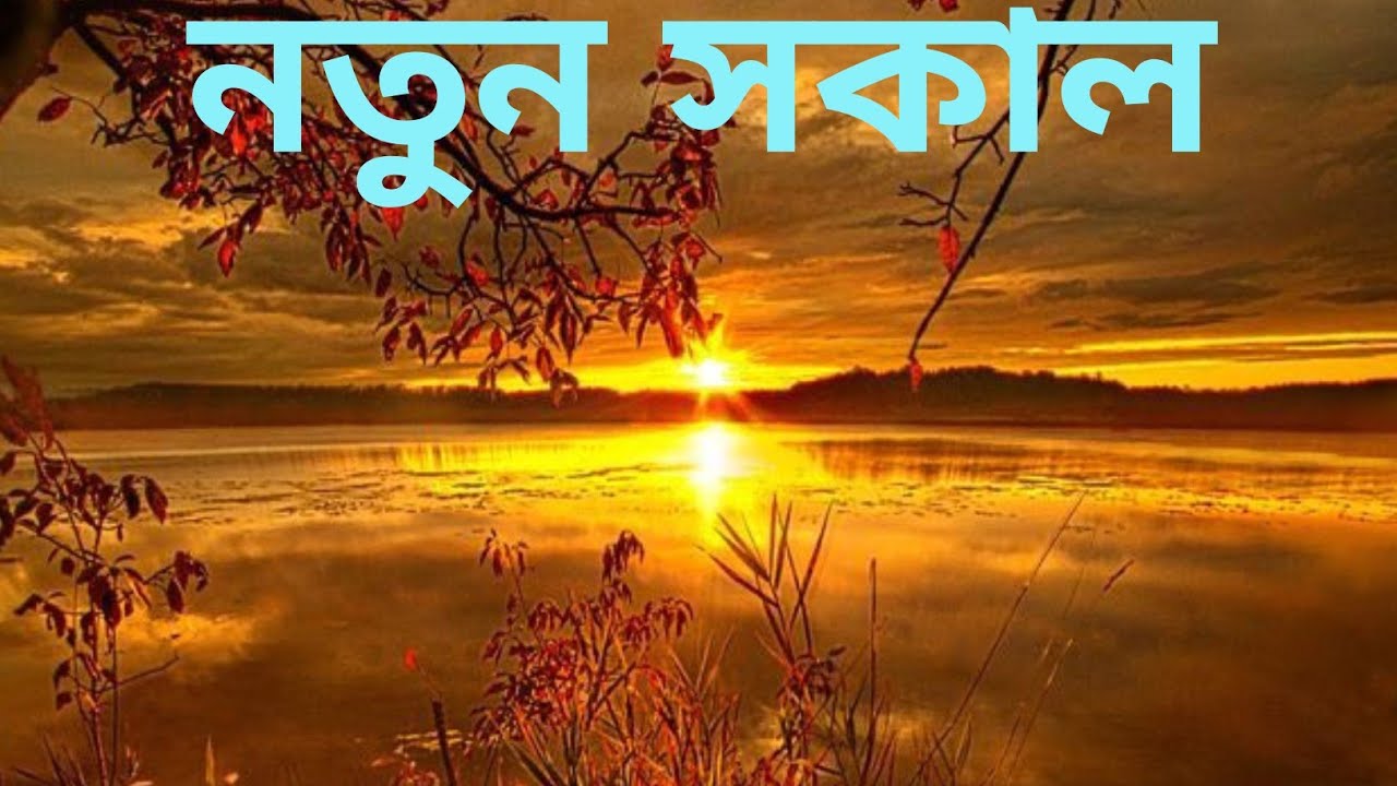 নতুন সকাল | Heart Touching Bangla Story #bengalistory #SingleMother #বিচ্ছেদ