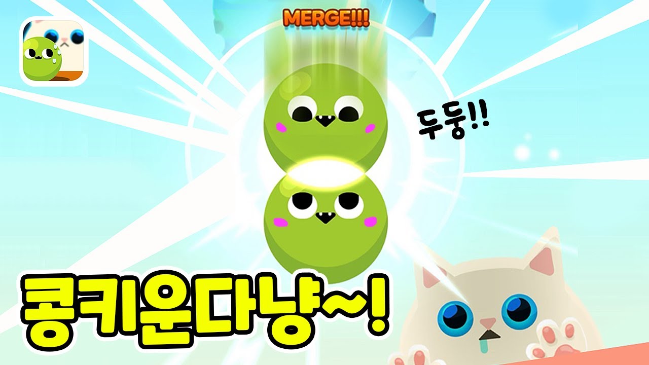 작은 콩들을 합쳐 우주까지 날아가요! 콩키운다냥 게임